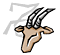 Capricorn